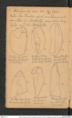 Seite 28, Tagebuch "Diluvium | Getzersdorf | Statzendorf | Willendorf | Mießling-Tal | Höhlen in Kremstal" (NHMW-PRAE-BBB-04)